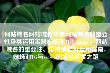 网站域名网站域名申请网站域名的重要性及其运用策略蜘蛛池TG：zzcseo，网站域名的重要性、申请策略及运用指南，蜘蛛池TG与zzcseo的域名探索之路