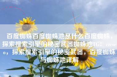 百度蜘蛛百度蜘蛛池是什么百度蜘蛛，探索搜索引擎的秘密武器蜘蛛池TG：zzcseo，探索搜索引擎的秘密武器，百度蜘蛛与蜘蛛池详解