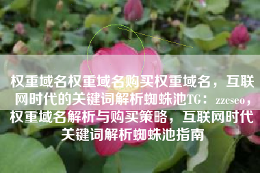 权重域名权重域名购买权重域名，互联网时代的关键词解析蜘蛛池TG：zzcseo，权重域名解析与购买策略，互联网时代关键词解析蜘蛛池指南