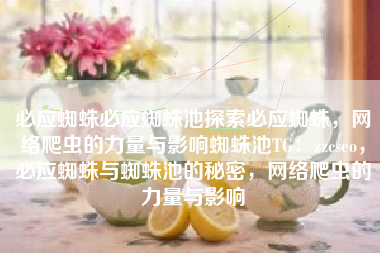 必应蜘蛛必应蜘蛛池探索必应蜘蛛，网络爬虫的力量与影响蜘蛛池TG：zzcseo，必应蜘蛛与蜘蛛池的秘密，网络爬虫的力量与影响