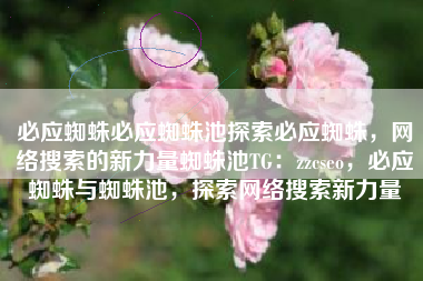 必应蜘蛛必应蜘蛛池探索必应蜘蛛，网络搜索的新力量蜘蛛池TG：zzcseo，必应蜘蛛与蜘蛛池，探索网络搜索新力量