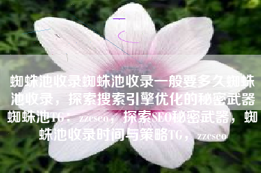 蜘蛛池收录蜘蛛池收录一般要多久蜘蛛池收录，探索搜索引擎优化的秘密武器蜘蛛池TG：zzcseo，探索SEO秘密武器，蜘蛛池收录时间与策略TG，zzcseo