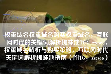 权重域名权重域名购买权重域名，互联网时代的关键词解析蜘蛛池TG：zzcseo，权重域名解析与购买策略，互联网时代关键词解析蜘蛛池指南（附TG，zzcseo）