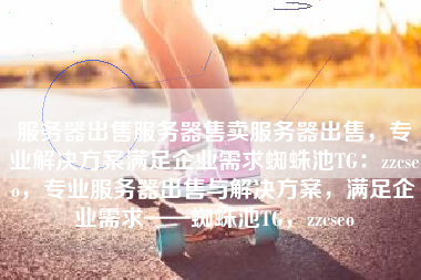 服务器出售服务器售卖服务器出售，专业解决方案满足企业需求蜘蛛池TG：zzcseo，专业服务器出售与解决方案，满足企业需求——蜘蛛池TG，zzcseo