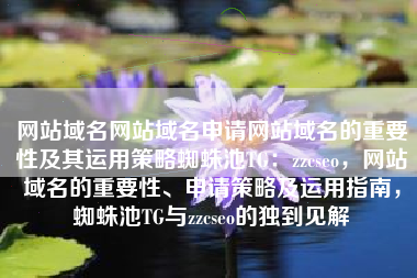网站域名网站域名申请网站域名的重要性及其运用策略蜘蛛池TG：zzcseo，网站域名的重要性、申请策略及运用指南，蜘蛛池TG与zzcseo的独到见解
