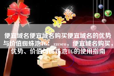 便宜域名便宜域名购买便宜域名的优势与价值蜘蛛池TG：zzcseo，便宜域名购买，优势、价值与蜘蛛池TG的使用指南
