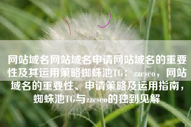 网站域名网站域名申请网站域名的重要性及其运用策略蜘蛛池TG：zzcseo，网站域名的重要性、申请策略及运用指南，蜘蛛池TG与zzcseo的独到见解