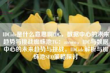 IDCidc是什么意思啊IDC，数据中心的未来趋势与挑战蜘蛛池TG：zzcseo，IDC与数据中心的未来趋势与挑战，IDCidc解析与蜘蛛池SEO策略探讨