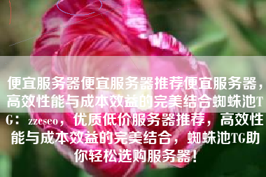 便宜服务器便宜服务器推荐便宜服务器，高效性能与成本效益的完美结合蜘蛛池TG：zzcseo，优质低价服务器推荐，高效性能与成本效益的完美结合，蜘蛛池TG助你轻松选购服务器！