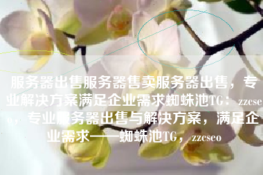 服务器出售服务器售卖服务器出售，专业解决方案满足企业需求蜘蛛池TG：zzcseo，专业服务器出售与解决方案，满足企业需求——蜘蛛池TG，zzcseo