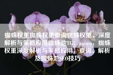 蜘蛛权重蜘蛛权重查询蜘蛛权重，深度解析与策略应用蜘蛛池TG：zzcseo，蜘蛛权重深度解析与策略应用，查询、解析及蜘蛛池SEO技巧