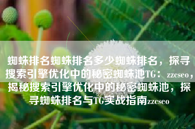 蜘蛛排名蜘蛛排名多少蜘蛛排名，探寻搜索引擎优化中的秘密蜘蛛池TG：zzcseo，揭秘搜索引擎优化中的秘密蜘蛛池，探寻蜘蛛排名与TG实战指南zzcseo