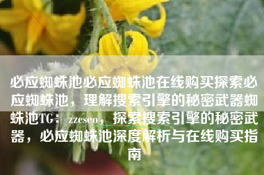 必应蜘蛛池必应蜘蛛池在线购买探索必应蜘蛛池，理解搜索引擎的秘密武器蜘蛛池TG：zzcseo，探索搜索引擎的秘密武器，必应蜘蛛池深度解析与在线购买指南