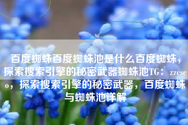 百度蜘蛛百度蜘蛛池是什么百度蜘蛛，探索搜索引擎的秘密武器蜘蛛池TG：zzcseo，探索搜索引擎的秘密武器，百度蜘蛛与蜘蛛池详解