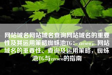 网站域名网站域名查询网站域名的重要性及其运用策略蜘蛛池TG：zzcseo，网站域名的重要性、查询及运用策略，蜘蛛池TG与zzcseo的指南