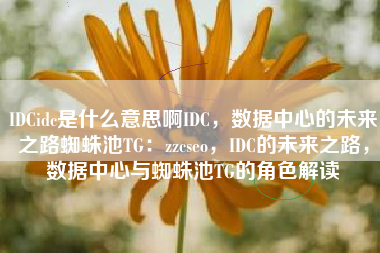 IDCidc是什么意思啊IDC，数据中心的未来之路蜘蛛池TG：zzcseo，IDC的未来之路，数据中心与蜘蛛池TG的角色解读