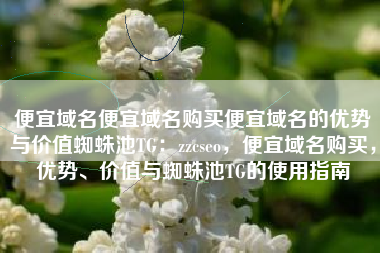 便宜域名便宜域名购买便宜域名的优势与价值蜘蛛池TG：zzcseo，便宜域名购买，优势、价值与蜘蛛池TG的使用指南