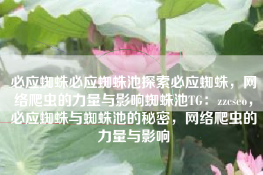 必应蜘蛛必应蜘蛛池探索必应蜘蛛，网络爬虫的力量与影响蜘蛛池TG：zzcseo，必应蜘蛛与蜘蛛池的秘密，网络爬虫的力量与影响