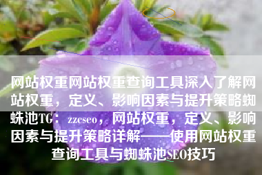 网站权重网站权重查询工具深入了解网站权重，定义、影响因素与提升策略蜘蛛池TG：zzcseo，网站权重，定义、影响因素与提升策略详解——使用网站权重查询工具与蜘蛛池SEO技巧
