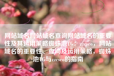 网站域名网站域名查询网站域名的重要性及其运用策略蜘蛛池TG：zzcseo，网站域名的重要性、查询及运用策略，蜘蛛池TG与zzcseo的指南