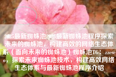 2025最新蜘蛛池2025最新蜘蛛池程序探索未来的蜘蛛池，构建高效的网络生态体系（面向未来的蜘蛛池）蜘蛛池TG：zzcseo，探索未来蜘蛛池技术，构建高效网络生态体系与最新蜘蛛池程序介绍