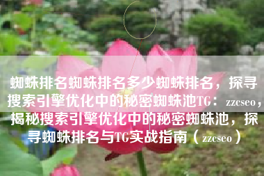 蜘蛛排名蜘蛛排名多少蜘蛛排名，探寻搜索引擎优化中的秘密蜘蛛池TG：zzcseo，揭秘搜索引擎优化中的秘密蜘蛛池，探寻蜘蛛排名与TG实战指南（zzcseo）