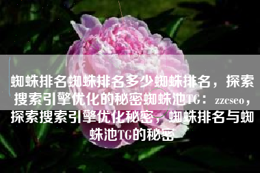 蜘蛛排名蜘蛛排名多少蜘蛛排名，探索搜索引擎优化的秘密蜘蛛池TG：zzcseo，探索搜索引擎优化秘密，蜘蛛排名与蜘蛛池TG的秘密