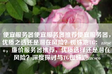 便宜服务器便宜服务器推荐便宜服务器，优质之选还是潜在风险？蜘蛛池TG：zzcseo，廉价服务器推荐，优质选择还是潜在风险？深度探讨与TG蜘蛛池zzcseo