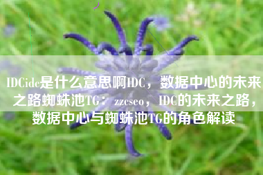 IDCidc是什么意思啊IDC，数据中心的未来之路蜘蛛池TG：zzcseo，IDC的未来之路，数据中心与蜘蛛池TG的角色解读