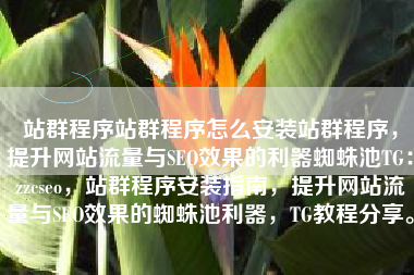 站群程序站群程序怎么安装站群程序，提升网站流量与SEO效果的利器蜘蛛池TG：zzcseo，站群程序安装指南，提升网站流量与SEO效果的蜘蛛池利器，TG教程分享。