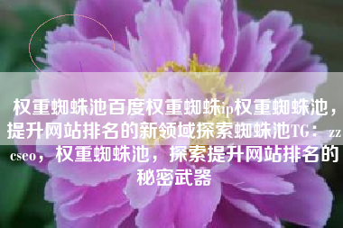 权重蜘蛛池百度权重蜘蛛ip权重蜘蛛池，提升网站排名的新领域探索蜘蛛池TG：zzcseo，权重蜘蛛池，探索提升网站排名的秘密武器