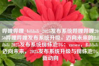 哔哩哔哩_bilibili_2025发布系统哔哩哔哩2050哔哩哔哩发布系统升级，迈向未来的Bilibili 2025发布系统蜘蛛池TG：zzcseo，Bilibili迈向未来，2025发布系统升级与蜘蛛池TG新动向