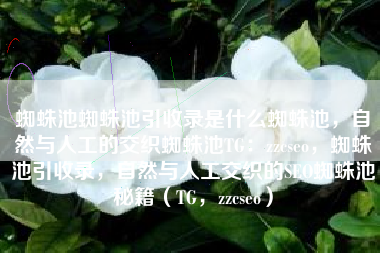 蜘蛛池蜘蛛池引收录是什么蜘蛛池，自然与人工的交织蜘蛛池TG：zzcseo，蜘蛛池引收录，自然与人工交织的SEO蜘蛛池秘籍（TG，zzcseo）