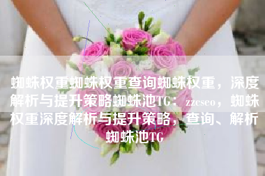 蜘蛛权重蜘蛛权重查询蜘蛛权重，深度解析与提升策略蜘蛛池TG：zzcseo，蜘蛛权重深度解析与提升策略，查询、解析蜘蛛池TG