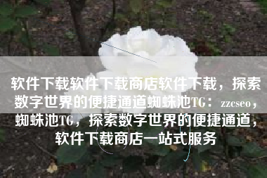 软件下载软件下载商店软件下载，探索数字世界的便捷通道蜘蛛池TG：zzcseo，蜘蛛池TG，探索数字世界的便捷通道，软件下载商店一站式服务
