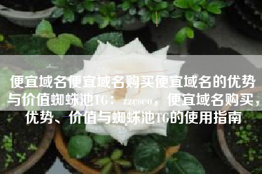 便宜域名便宜域名购买便宜域名的优势与价值蜘蛛池TG：zzcseo，便宜域名购买，优势、价值与蜘蛛池TG的使用指南