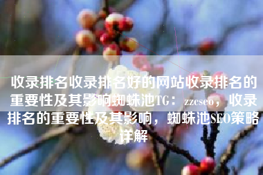 收录排名收录排名好的网站收录排名的重要性及其影响蜘蛛池TG：zzcseo，收录排名的重要性及其影响，蜘蛛池SEO策略详解