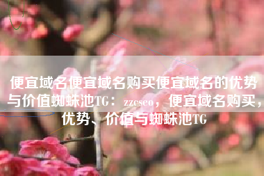 便宜域名便宜域名购买便宜域名的优势与价值蜘蛛池TG：zzcseo，便宜域名购买，优势、价值与蜘蛛池TG