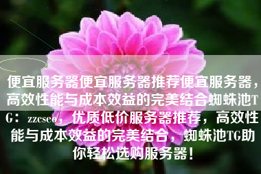 便宜服务器便宜服务器推荐便宜服务器，高效性能与成本效益的完美结合蜘蛛池TG：zzcseo，优质低价服务器推荐，高效性能与成本效益的完美结合，蜘蛛池TG助你轻松选购服务器！