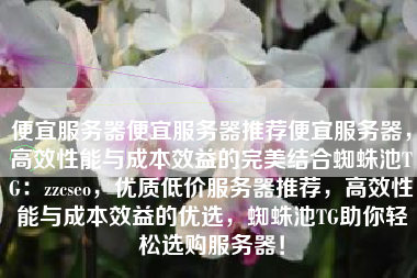 便宜服务器便宜服务器推荐便宜服务器，高效性能与成本效益的完美结合蜘蛛池TG：zzcseo，优质低价服务器推荐，高效性能与成本效益的优选，蜘蛛池TG助你轻松选购服务器！