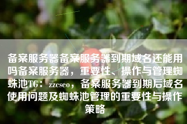 备案服务器备案服务器到期域名还能用吗备案服务器，重要性、操作与管理蜘蛛池TG：zzcseo，备案服务器到期后域名使用问题及蜘蛛池管理的重要性与操作策略