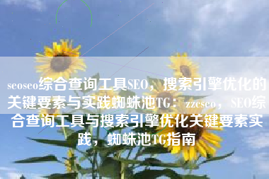 seoseo综合查询工具SEO，搜索引擎优化的关键要素与实践蜘蛛池TG：zzcseo，SEO综合查询工具与搜索引擎优化关键要素实践，蜘蛛池TG指南