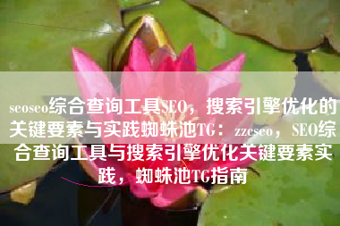 seoseo综合查询工具SEO，搜索引擎优化的关键要素与实践蜘蛛池TG：zzcseo，SEO综合查询工具与搜索引擎优化关键要素实践，蜘蛛池TG指南