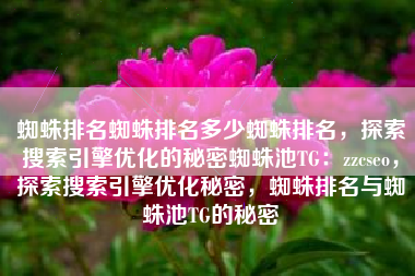 蜘蛛排名蜘蛛排名多少蜘蛛排名，探索搜索引擎优化的秘密蜘蛛池TG：zzcseo，探索搜索引擎优化秘密，蜘蛛排名与蜘蛛池TG的秘密