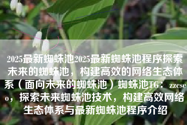 2025最新蜘蛛池2025最新蜘蛛池程序探索未来的蜘蛛池，构建高效的网络生态体系（面向未来的蜘蛛池）蜘蛛池TG：zzcseo，探索未来蜘蛛池技术，构建高效网络生态体系与最新蜘蛛池程序介绍