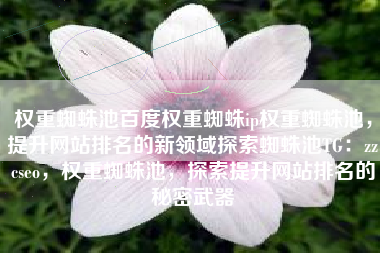权重蜘蛛池百度权重蜘蛛ip权重蜘蛛池，提升网站排名的新领域探索蜘蛛池TG：zzcseo，权重蜘蛛池，探索提升网站排名的秘密武器