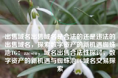 出售域名出售域名是合法的还是违法的出售域名，探索数字资产的新机遇蜘蛛池TG：zzcseo，域名出售合法性探讨，数字资产的新机遇与蜘蛛池TG域名交易探索