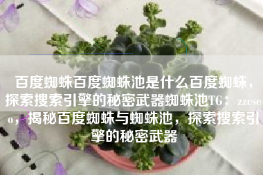 百度蜘蛛百度蜘蛛池是什么百度蜘蛛，探索搜索引擎的秘密武器蜘蛛池TG：zzcseo，揭秘百度蜘蛛与蜘蛛池，探索搜索引擎的秘密武器