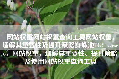 网站权重网站权重查询工具网站权重，理解其重要性及提升策略蜘蛛池TG：zzcseo，网站权重，理解其重要性、提升策略及使用网站权重查询工具