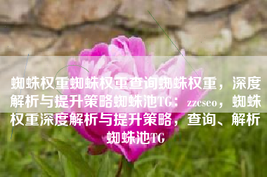 蜘蛛权重蜘蛛权重查询蜘蛛权重，深度解析与提升策略蜘蛛池TG：zzcseo，蜘蛛权重深度解析与提升策略，查询、解析蜘蛛池TG